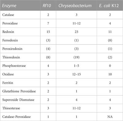 In vitro assays reveal inherently insecticide-tolerant termite symbionts